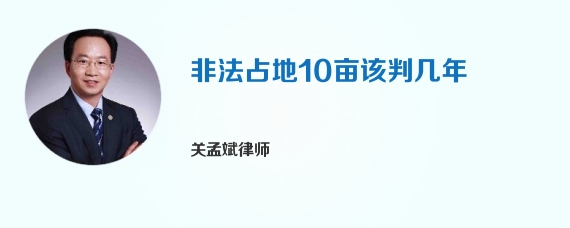 非法占地10亩该判几年