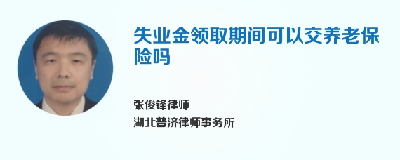 失业金领取期间可以交养老保险吗