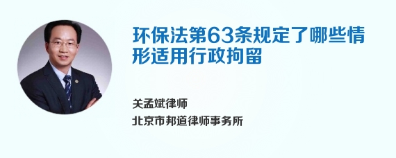 环保法第63条规定了哪些情形适用行政拘留
