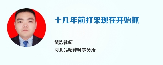 十几年前打架现在开始抓