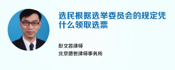 选民根据选举委员会的规定凭什么领取选票