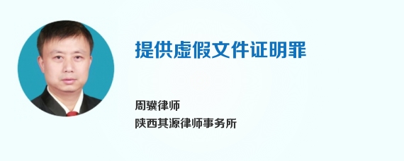 提供虚假文件证明罪