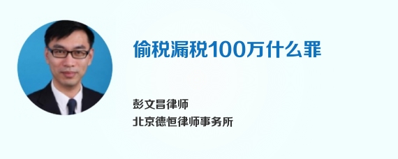 偷税漏税100万什么罪