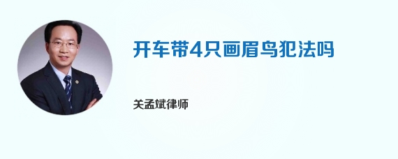 开车带4只画眉鸟犯法吗