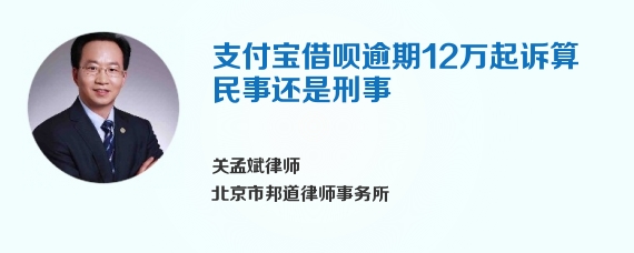 支付宝借呗逾期12万起诉算民事还是刑事