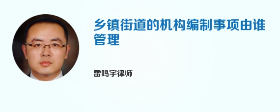 乡镇街道的机构编制事项由谁管理