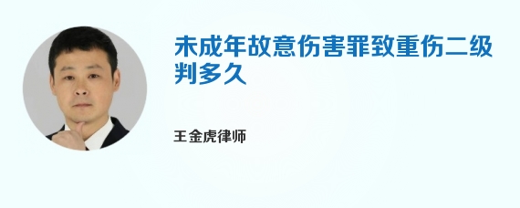 未成年故意伤害罪致重伤二级判多久