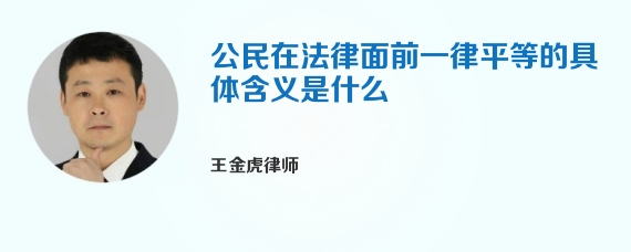 公民在法律面前一律平等的具体含义是什么