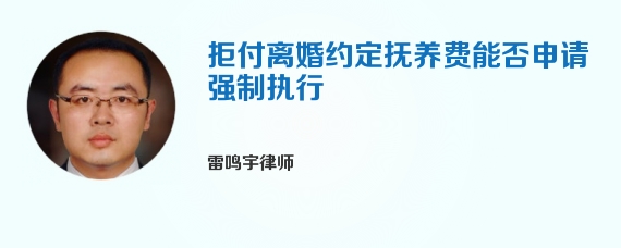 拒付离婚约定抚养费能否申请强制执行