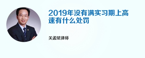 2019年没有满实习期上高速有什么处罚