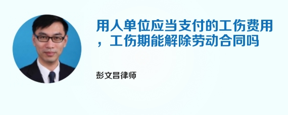 用人单位应当支付的工伤费用，工伤期能解除劳动合同吗