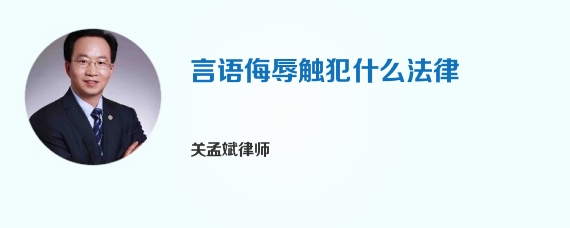 言语侮辱触犯什么法律