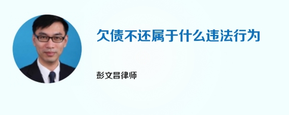 欠债不还属于什么违法行为