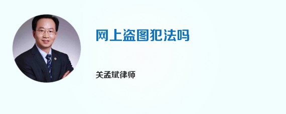 网上盗图犯法吗