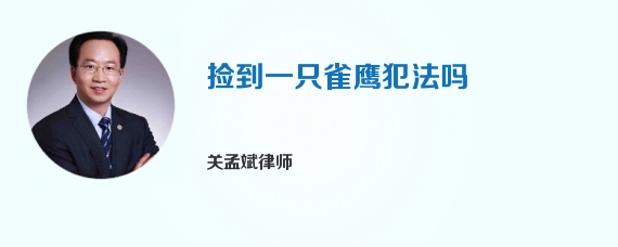 捡到一只雀鹰犯法吗