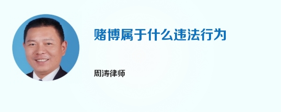 赌博属于什么违法行为