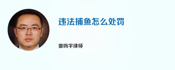 违法捕鱼怎么处罚