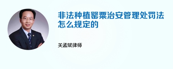非法种植罂粟治安管理处罚法怎么规定的