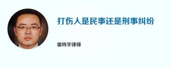 打伤人是民事还是刑事纠纷
