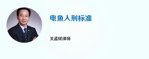 电鱼入刑标准