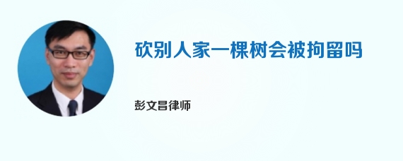 砍别人家一棵树会被拘留吗