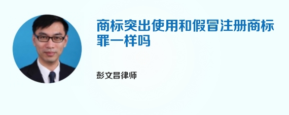 商标突出使用和假冒注册商标罪一样吗