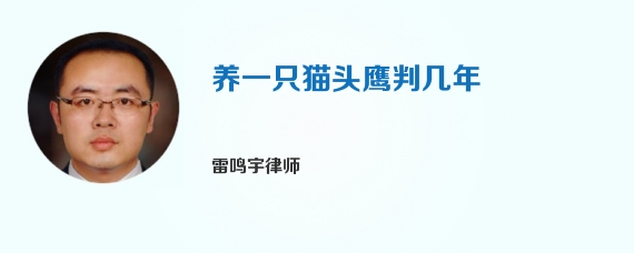 养一只猫头鹰判几年