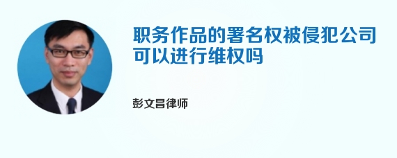 职务作品的署名权被侵犯公司可以进行维权吗