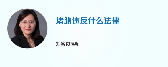 堵路违反什么法律