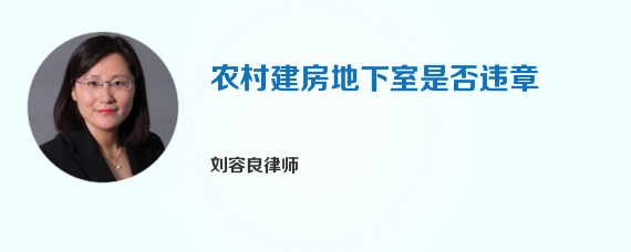 农村建房地下室是否违章