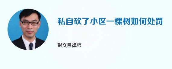 私自砍了小区一棵树如何处罚