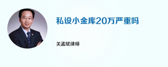 私设小金库20万严重吗