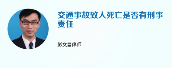 交通事故致人死亡是否有刑事责任