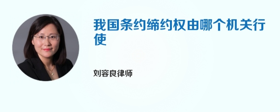 我国条约缔约权由哪个机关行使