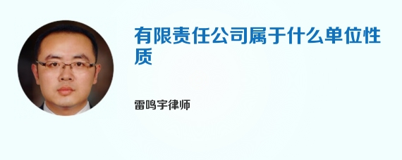 有限责任公司属于什么单位性质