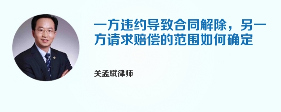 一方违约导致合同解除，另一方请求赔偿的范围如何确定