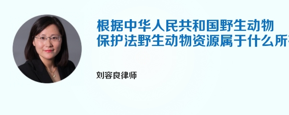 根据中华人民共和国野生动物保护法野生动物资源属于什么所有