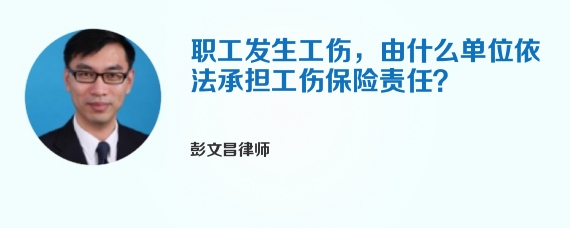 职工发生工伤，由什么单位依法承担工伤保险责任？