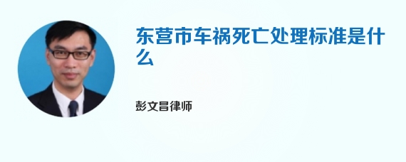 东营市车祸死亡处理标准是什么