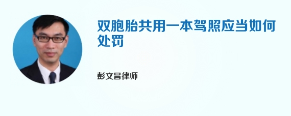 双胞胎共用一本驾照应当如何处罚