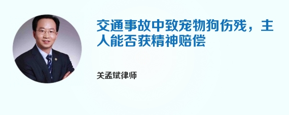 交通事故中致宠物狗伤残，主人能否获精神赔偿