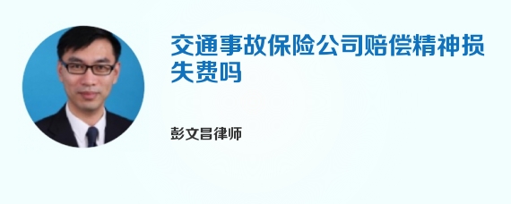 交通事故保险公司赔偿精神损失费吗