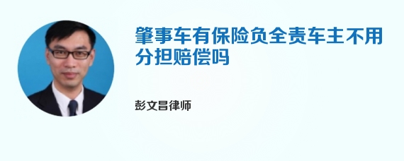 肇事车有保险负全责车主不用分担赔偿吗