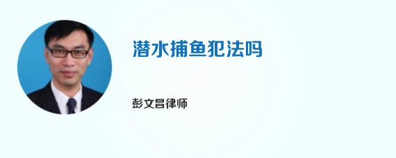 潜水捕鱼犯法吗