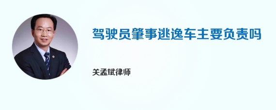 驾驶员肇事逃逸车主要负责吗