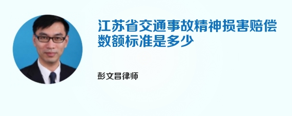 江苏省交通事故精神损害赔偿数额标准是多少