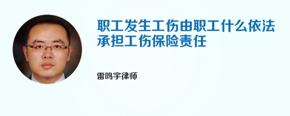 职工发生工伤由职工什么依法承担工伤保险责任