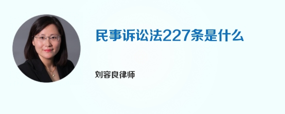 民事诉讼法227条是什么