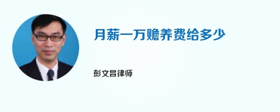 月薪一万赡养费给多少