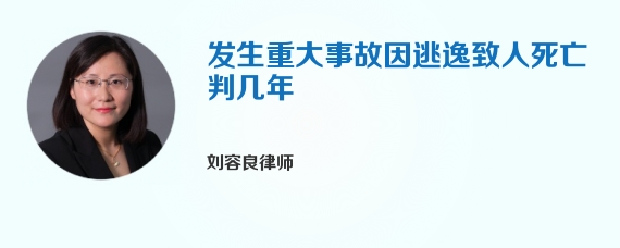 发生重大事故因逃逸致人死亡判几年